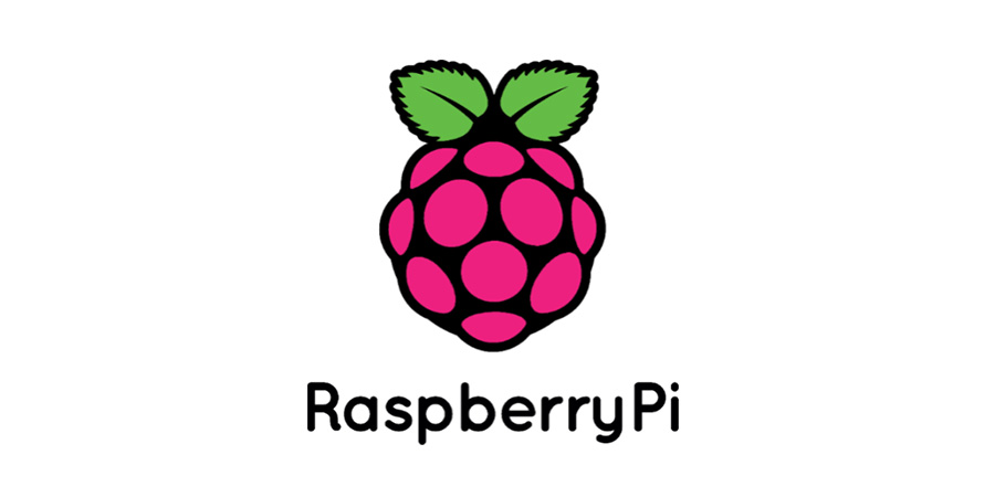 Raspberry Pi Logo
